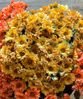 Fall Faux Yellow Gold Mums