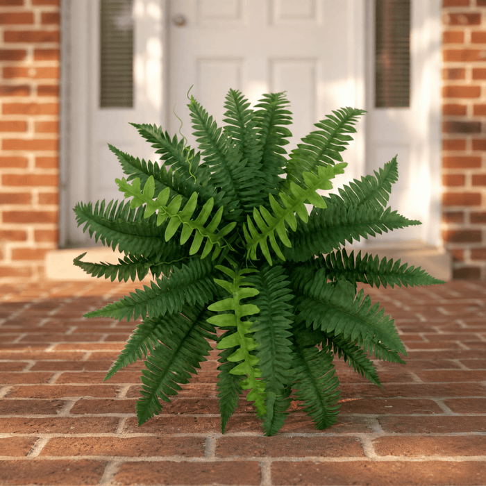 26 leaves