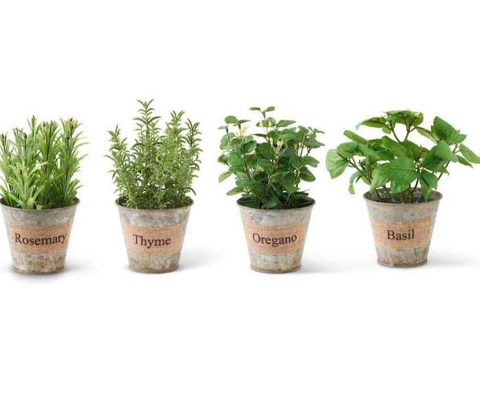 Herbs in Galvanized Pot