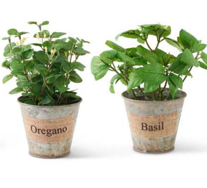 Herbs in Galvanized Pot