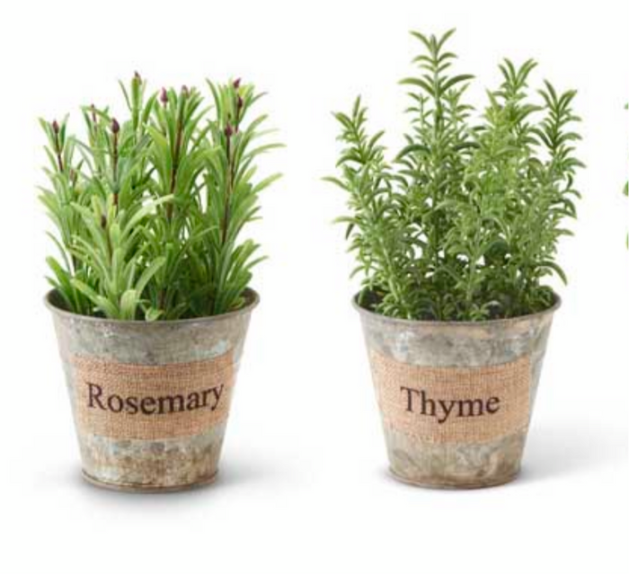 Herbs in Galvanized Pot