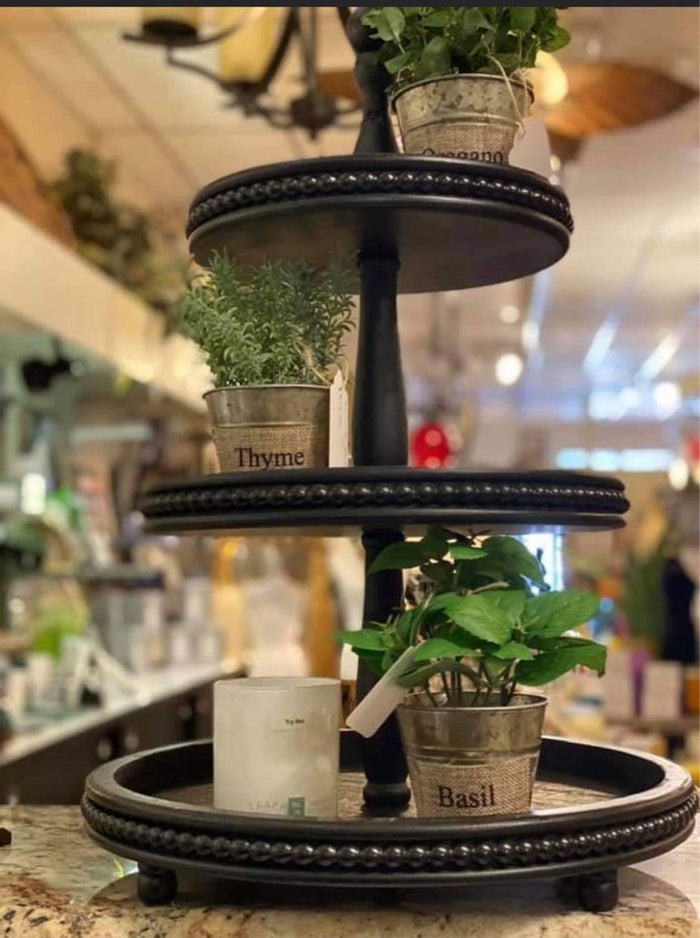 Herbs in Galvanized Pot