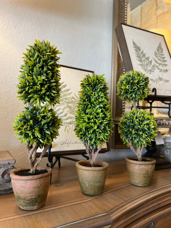 Set of 3 Topiaries in Terra Cotta Pots
