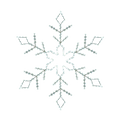 Dekra-Lite 24" LED Ropelight Branch Snowflake