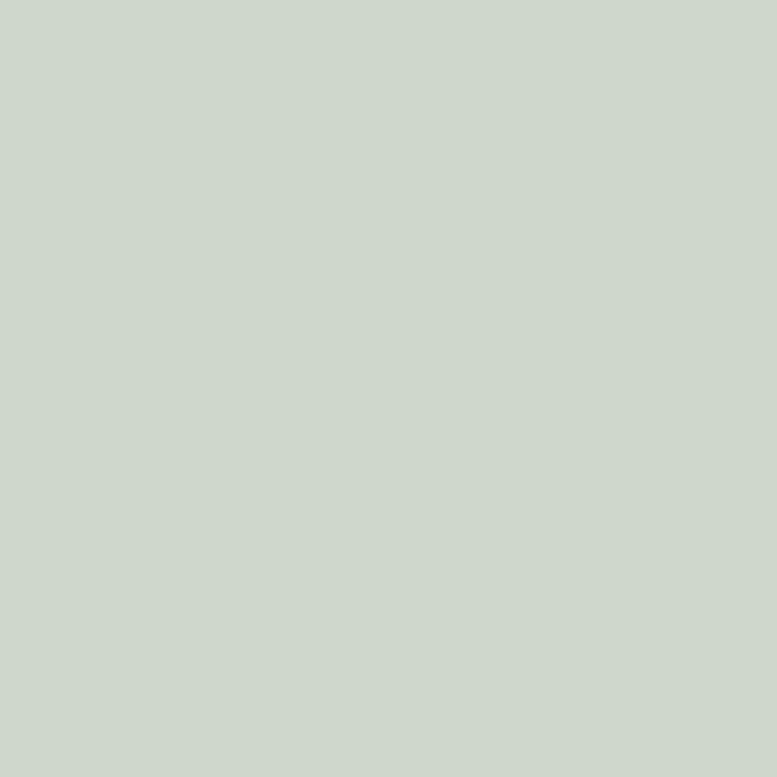Light Blue Farrow & Ball, available at Ricciardi Brothers in NJ, Pa, and DE.
