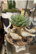 Light Wood and White Carved Birds with Metal Legs Set of 4