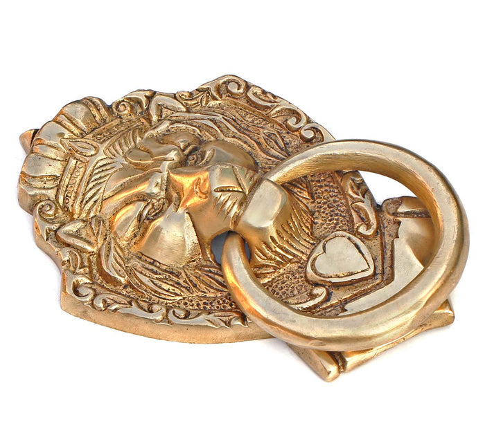 Lion Brass Door Knocker