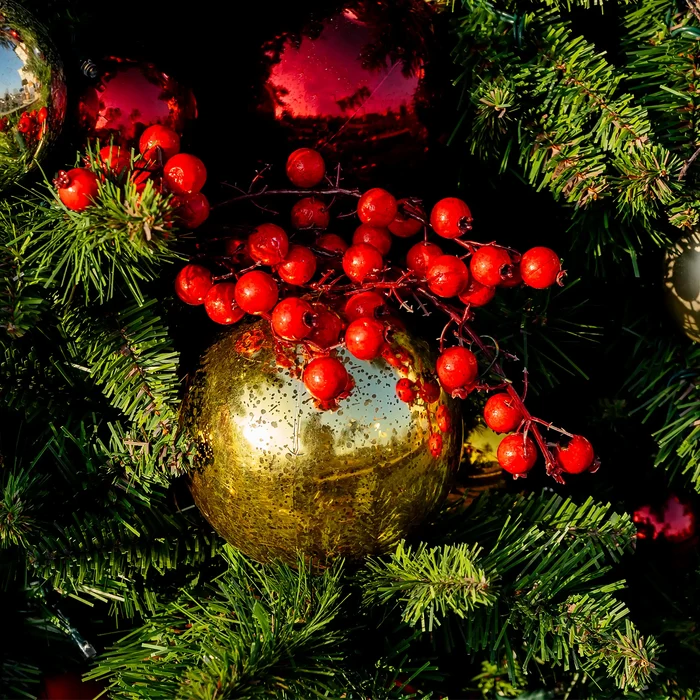 A close-up of a Christmas tree decorated with green pine branches, shiny red berries, and a large reflective gold ornament.