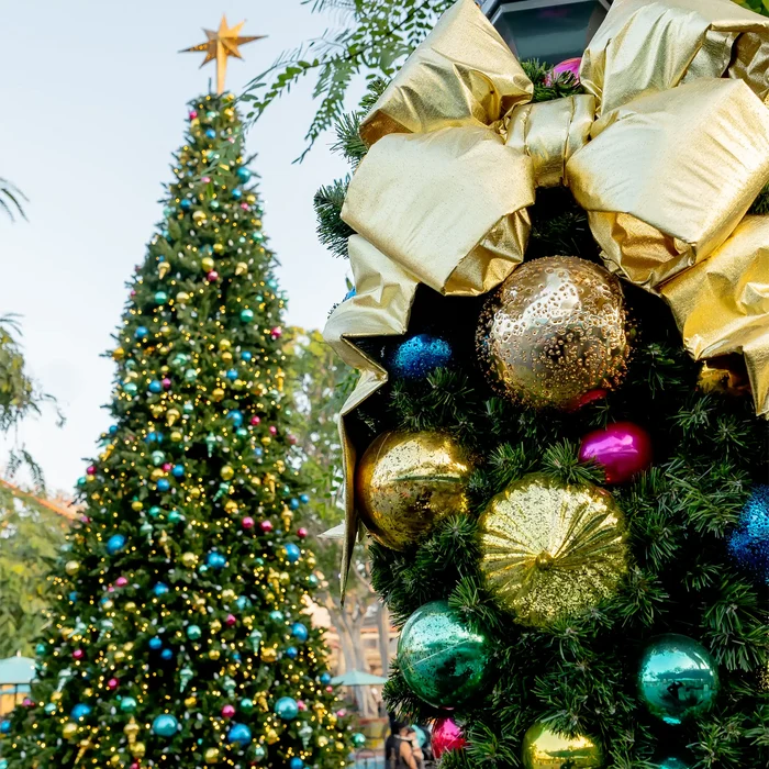 A close-up of a decorated Christmas wreath with large shiny gold bows and gold, green, blue, and pink ornaments, next to a full decorated Christmas tree outdoors.