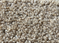 Pure Nature Mystique Sample - Rugs by Roo