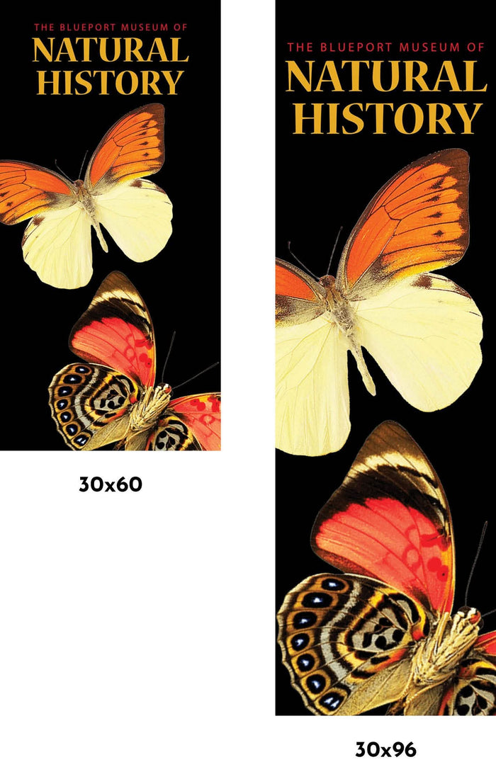 Natural History Museum Single Vinyl Banner Dekra-Lite