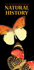 Natural History Museum Single Vinyl Banner Dekra-Lite