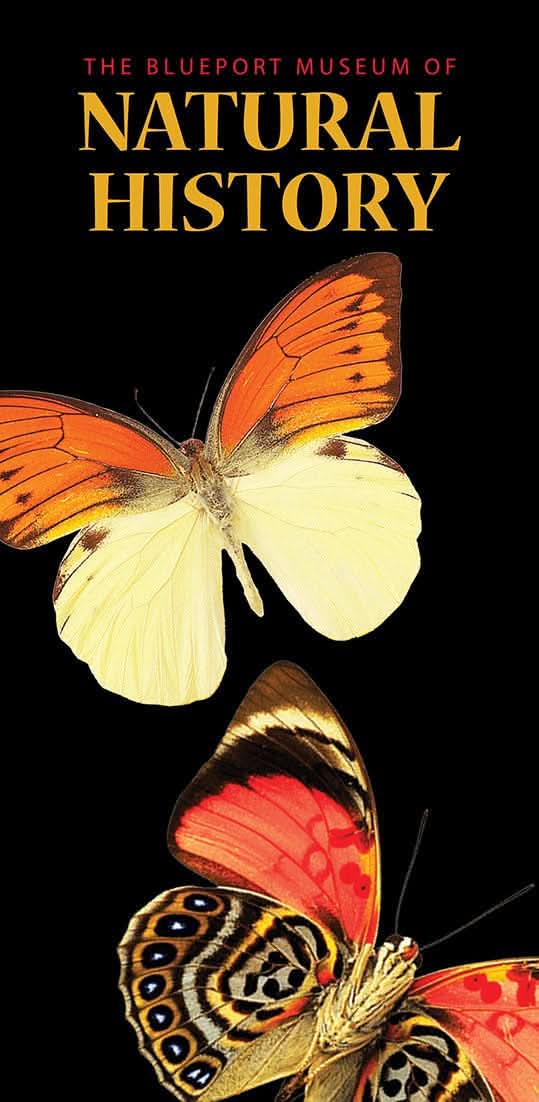 Natural History Museum Single Vinyl Banner Dekra-Lite
