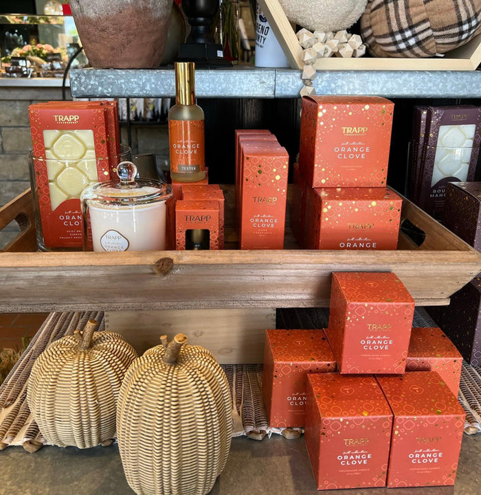 Orange Clove 7oz Candle Trapp Fragrances : Juicy Orange, Cinnamon, Freshly Ground Clove