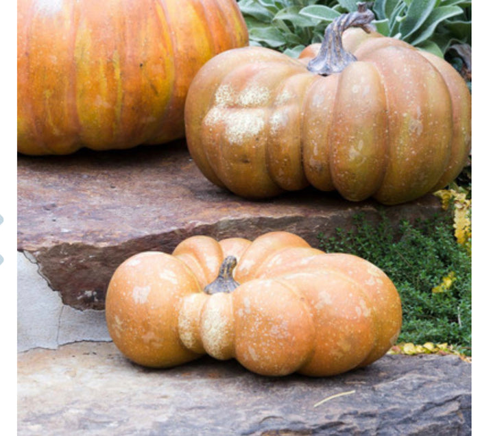 Realistic Faux Flat Bottom Boy Pumpkin