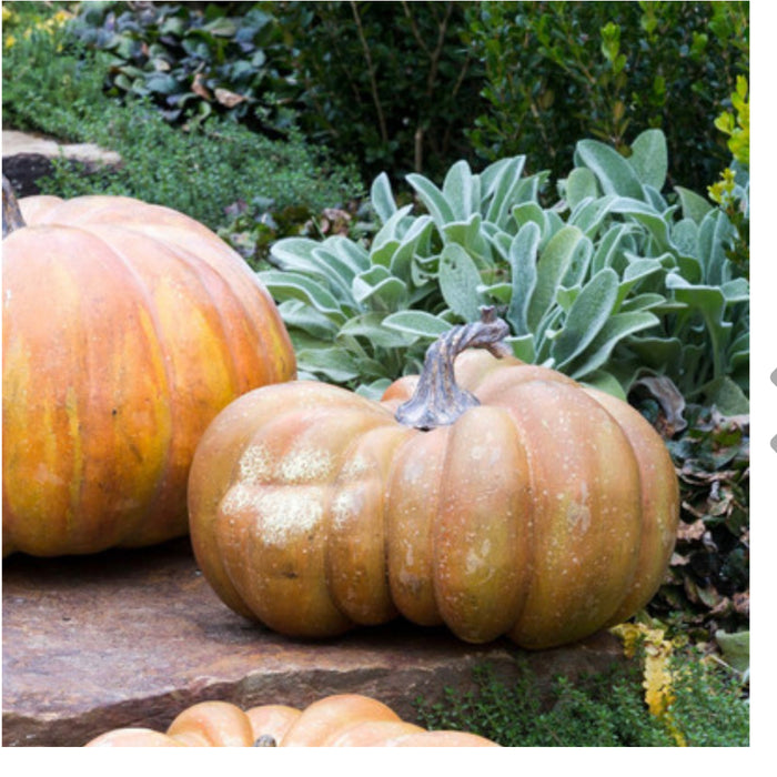 Realistic Large Faux Pretty Mama Pumpkin 14”Dia