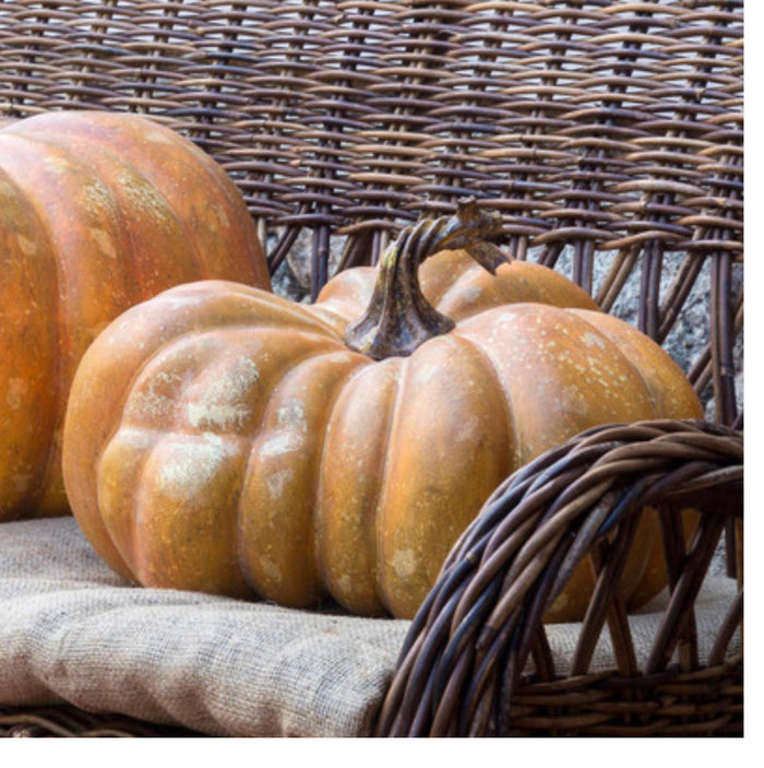 Realistic Large Faux Pretty Mama Pumpkin 14”Dia