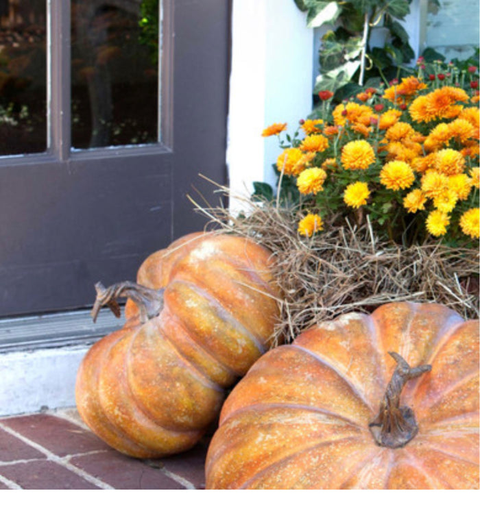 Realistic Large Faux Pretty Mama Pumpkin 14”Dia