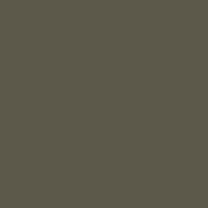 Reduced Green by Farrow & Ball is available at Ricciardi Brothers in NJ, Pa, and DE.
