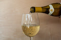 Schlosskellerei Gobelsburger Gruner Veltliner