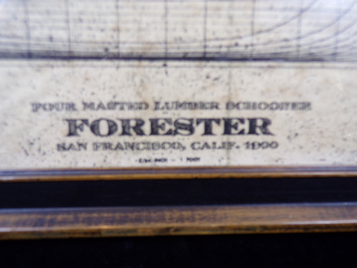 Schooner " Forester" / 4 Masted, Architectural Framed Print - Annapolis Maritime Antiques