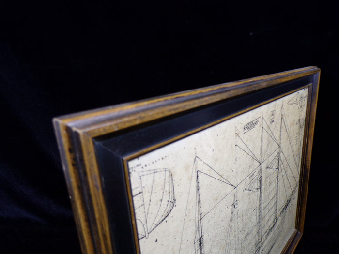 Schooner " Forester" / 4 Masted, Architectural Framed Print - Annapolis Maritime Antiques