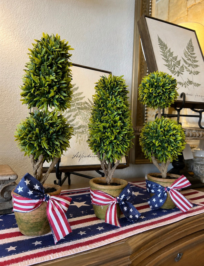 Set of 3 Topiaries in Terra Cotta Pots
