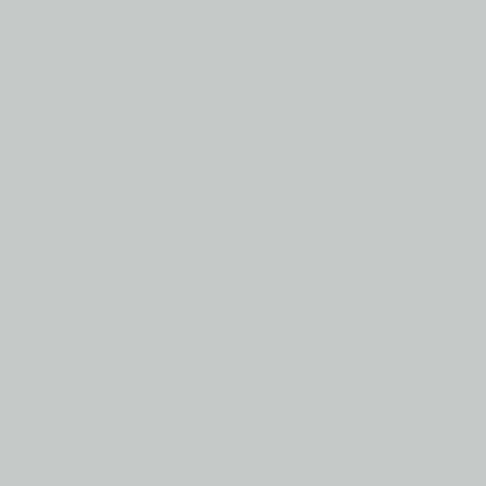 Skylight Farrow & Ball, available at Ricciardi Brothers in NJ, Pa, and DE.