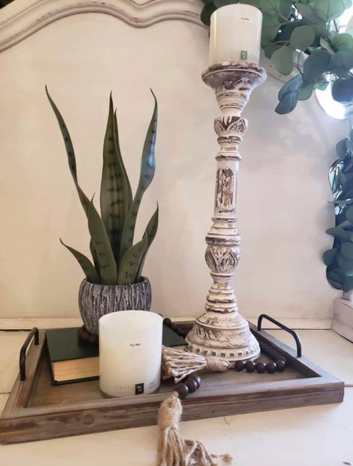 Snake Plant in Ceramic Pot