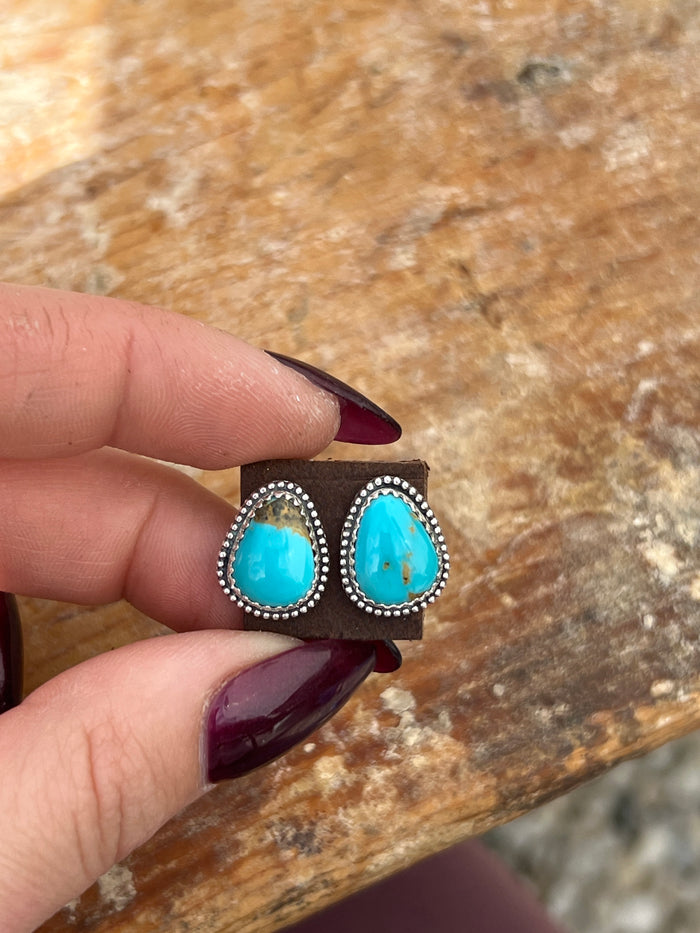Sonoran mountain earrings #6