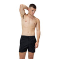 Speedo Solid Volley 16" Short anthracite