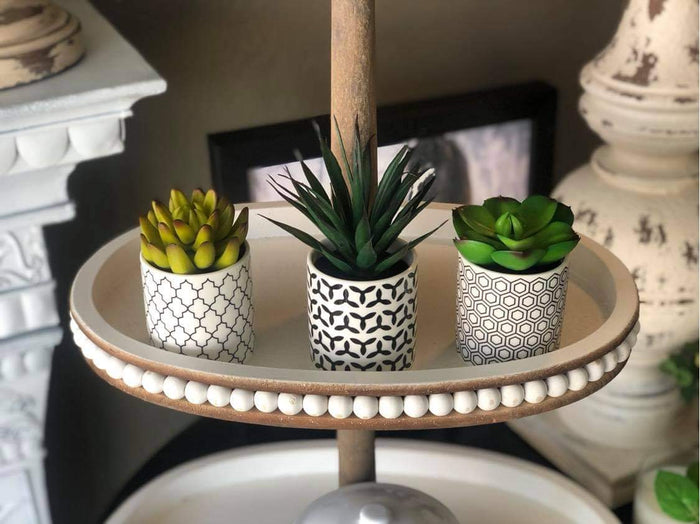Succulents in Ceramic Vases (Set of 3)