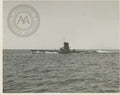 USS Irex (SS-482) Submarine