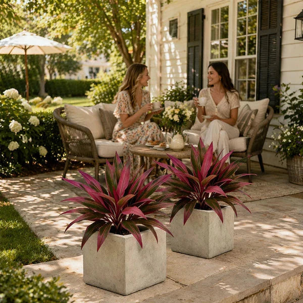 Verdara – Vibrant Faux Cordyline Plant Set