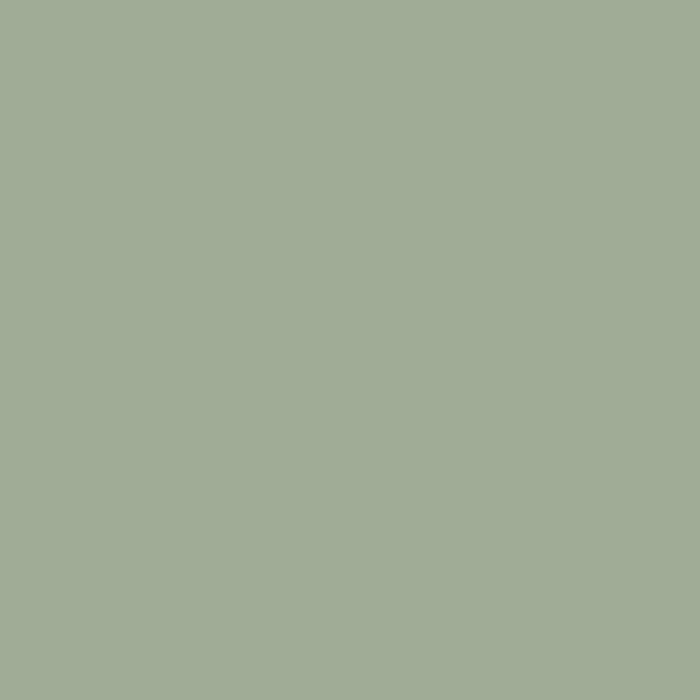 Whirlybird, Farrow & Ball, available at Ricciardi Brothers in NJ, Pa, and DE.