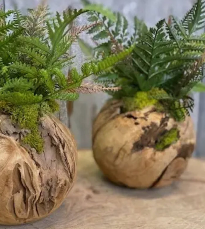 Wood Teak Moss Artificial Fern